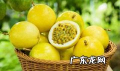 百香果可不可以开花 百香果可不可以开花结果