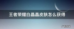王者荣耀白晶晶皮肤 王者荣耀白晶晶皮肤怎么获得