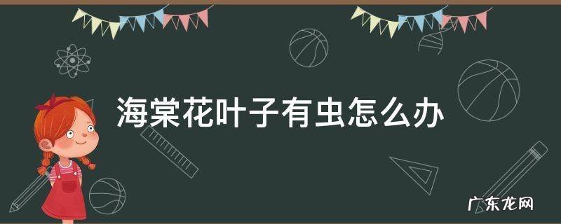 海棠花叶子有虫怎么办 海棠花上有虫怎么办