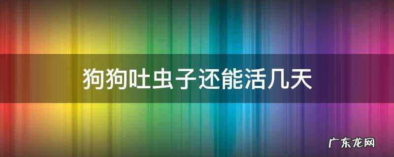 狗狗吐虫子还能活几天 狗狗吐的蛔虫能活多久