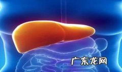 怎么养肝护肝 怎么养肝护肝喝什么茶