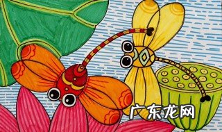 蜻蜓的特点是什么三年级 蜻蜓的特点