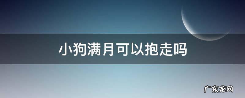 小狗满月可以抱走吗 满月的狗可以抱回家吗