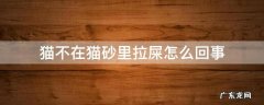 猫不在猫砂里拉屎怎么回事 猫不在猫砂里拉屎是什么原因