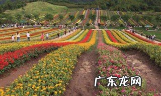 铜梁花海在什么地方 铜梁花海在什么地方建的