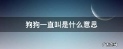 狗狗一直叫是什么意思 狗狗一直叫是为什么?