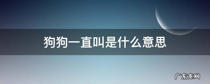狗狗一直叫是什么意思 狗狗一直叫是为什么?