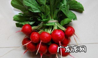 红萝卜一般什么时候开花呢 红萝卜一般什么时候开花