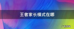 王者家长模式在哪关闭 王者家长模式在哪