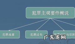 间接故意和过失 间接故意与过失的区别