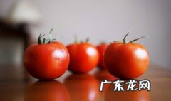 西红柿苗期被冻了怎么办 西红柿苗冻害怎么办