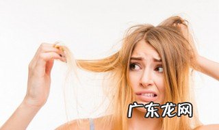 头发分叉干枯怎么保养 头发分叉干枯毛躁怎么保养