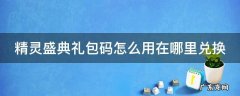 精灵盛典礼包码怎么用在哪里兑换 精灵盛典礼包码怎么用在哪里兑换啊