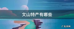 文山特产有哪些 文山特产有哪些特产