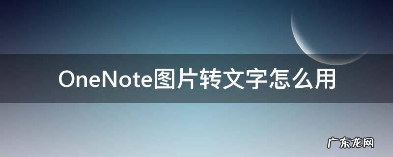 onenote如何图片转文字 OneNote图片转文字怎么用