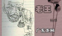 老王的全文概括 老王的全文概括内容
