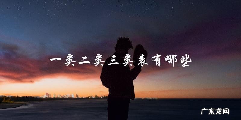 一类二类三类表有哪些