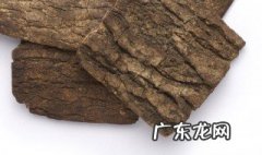 中药杜仲怎么食用方法 中药杜仲怎么吃有什么疗效