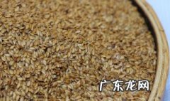 炸过油的亚麻籽渣渣怎么吃 炸过油的亚麻籽渣渣怎么吃好