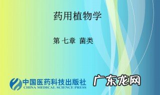 菌丝的组织体 什么是菌丝组织体?有几种类型?