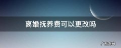 离婚抚养费可以更改吗 离婚抚养费能更改吗