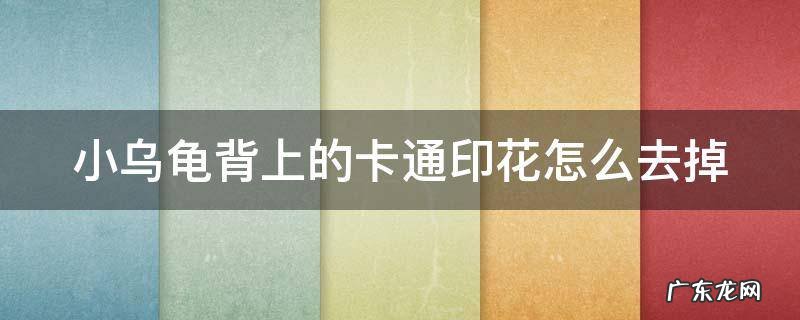 小乌龟背上的卡通印花怎么去掉 乌龟背上卡通图案怎么清除