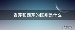 香芹和西芹的区别是什么 西芹和香芹是一样的吗