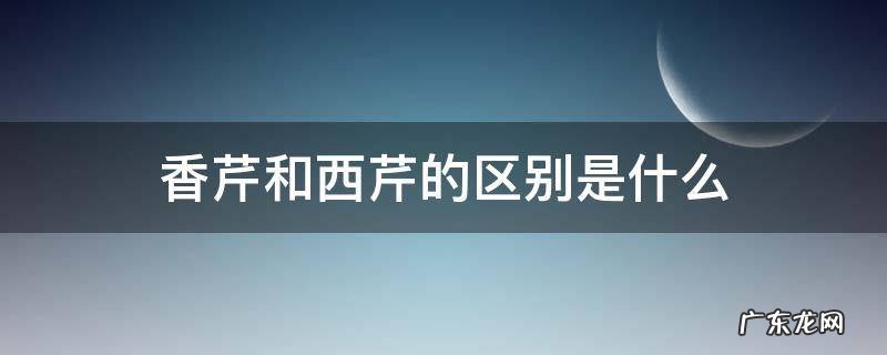 香芹和西芹的区别是什么 西芹和香芹是一样的吗