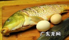 鲤鱼的蛋怎么吃 鲤鱼的蛋怎么吃才好吃
