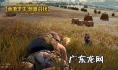 吃鸡中改名字怎么改符号 吃鸡中改名字怎么改符号的