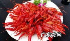 龙虾最好的食用季节 龙虾最好的食用季节是几月份