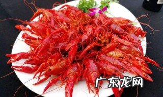 龙虾最好的食用季节 龙虾最好的食用季节是几月份
