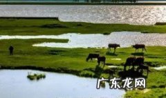 鄱阳湖水位季节变化特点 鄱阳湖水位季节变化特点及原因