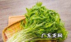 小松菜的作用和功效 小松菜的营养价值和功效