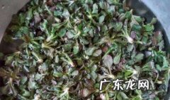 腌的麻菜怎么吃才好吃 腌的麻菜怎么吃