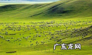 呼伦贝尔大草原什么季节去最合适 呼伦贝尔大草原什么季节去最好