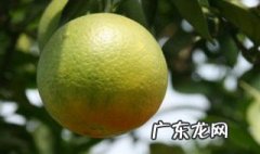 秋天是果子成熟的季节吗英语 秋天是果子成熟的季节吗