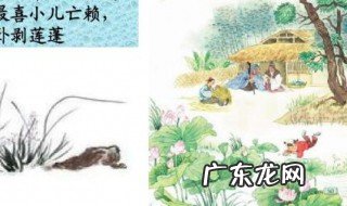 清平月村居的诗意是 清平月村居是什么季节的诗