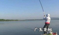 什么季节钓鲮鱼最佳 什么季节适合钓鲮鱼