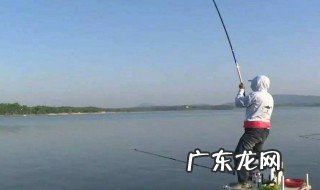 什么季节钓鲮鱼最佳 什么季节适合钓鲮鱼