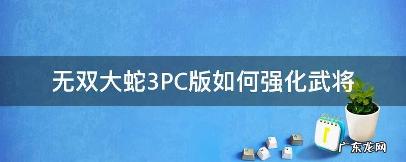 无双大蛇3pc怎么换武将 无双大蛇3PC版如何强化武将