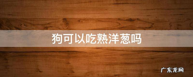 狗可以吃熟洋葱不 狗可以吃熟洋葱吗