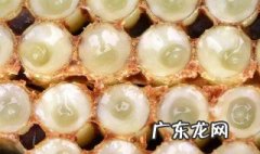 蜂王胎的功效及作用 蜂王胎的功效有哪些