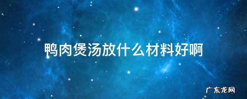 鸭肉煲汤放什么材料好啊 鸭肉煲汤放什么材料好窍门