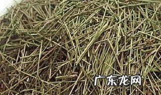 松针花茶的功效与作用 松针花有什么功效