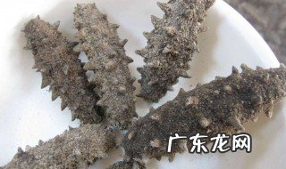 原生态干海参怎么吃 原生态干海参怎么吃才好吃