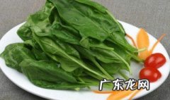 吃菠菜口苦是怎么回事 吃菠菜嘴里发苦