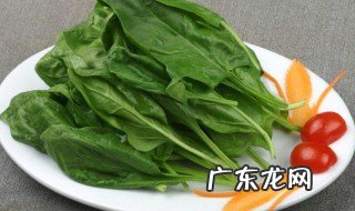 吃菠菜口苦是怎么回事 吃菠菜嘴里发苦