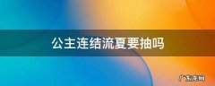 公主连结流夏值得练吗 公主连结流夏要抽吗