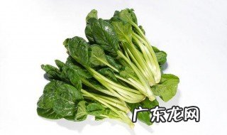 绿色食品指的是颜色是绿色的食物吗 绿色食品指的是颜色是绿色的食物吗